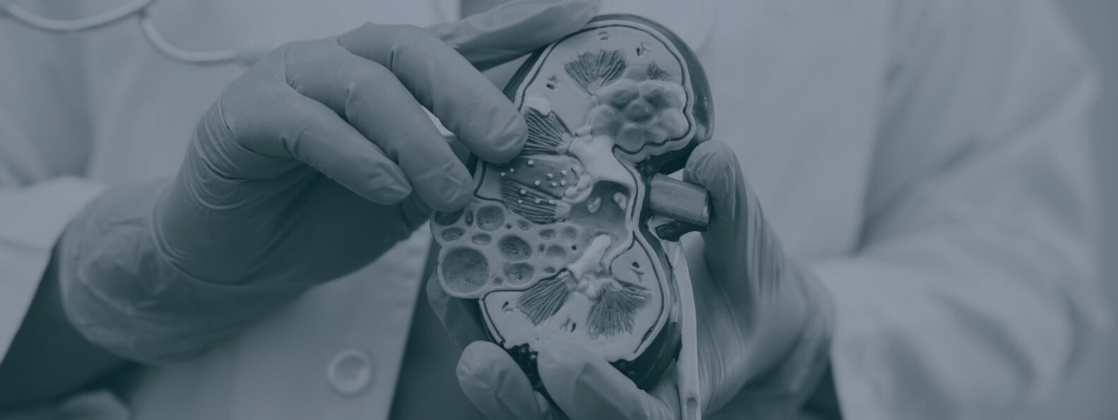 HBOT Referral Guidelines for Urologists