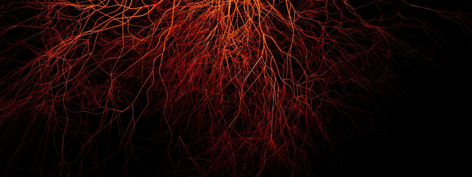 HBOT and Angiogenesis