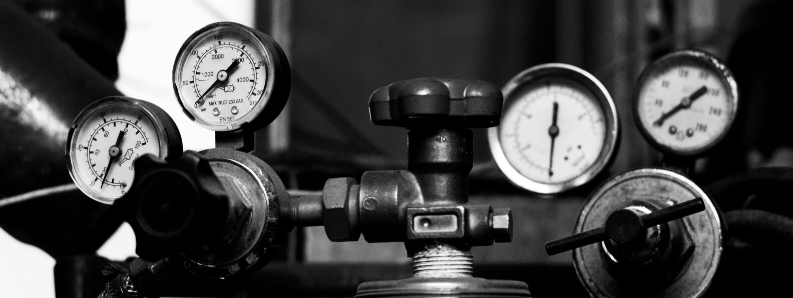 Physiology of Oxygen Under Pressure